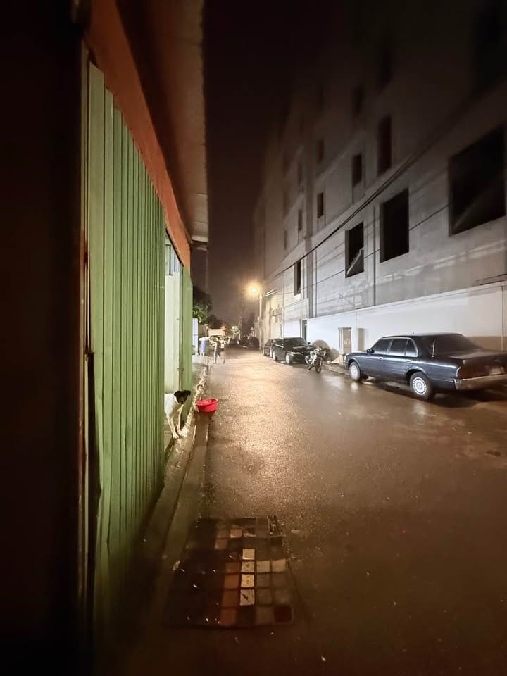 Đất Lý Thánh Tông – Gia Lâm 56m² giá 7.69 tỷ - Phong thủy tốt, ô tô vào thoải mái!