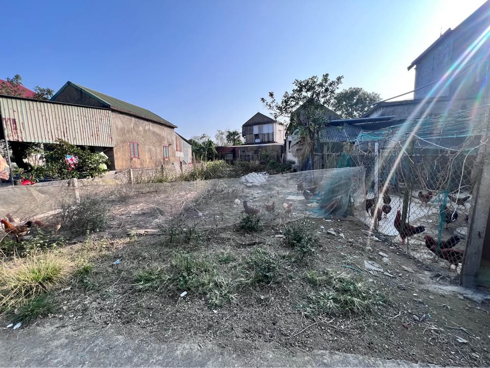 Đất thổ cư Cẩm Thành 220.7m² giá 1 tỷ - Vị trí đẹp gần chợ