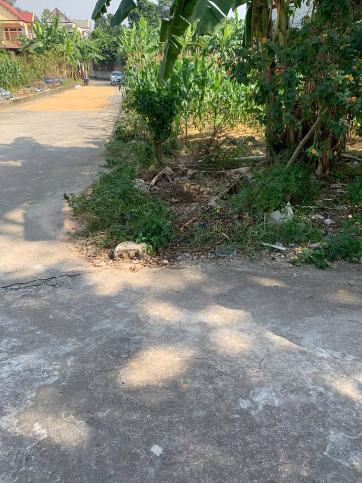 Đất nền lô góc Thị trấn Nhân Thắng, Bắc Ninh 124m² - Giá chỉ 800 triệu!