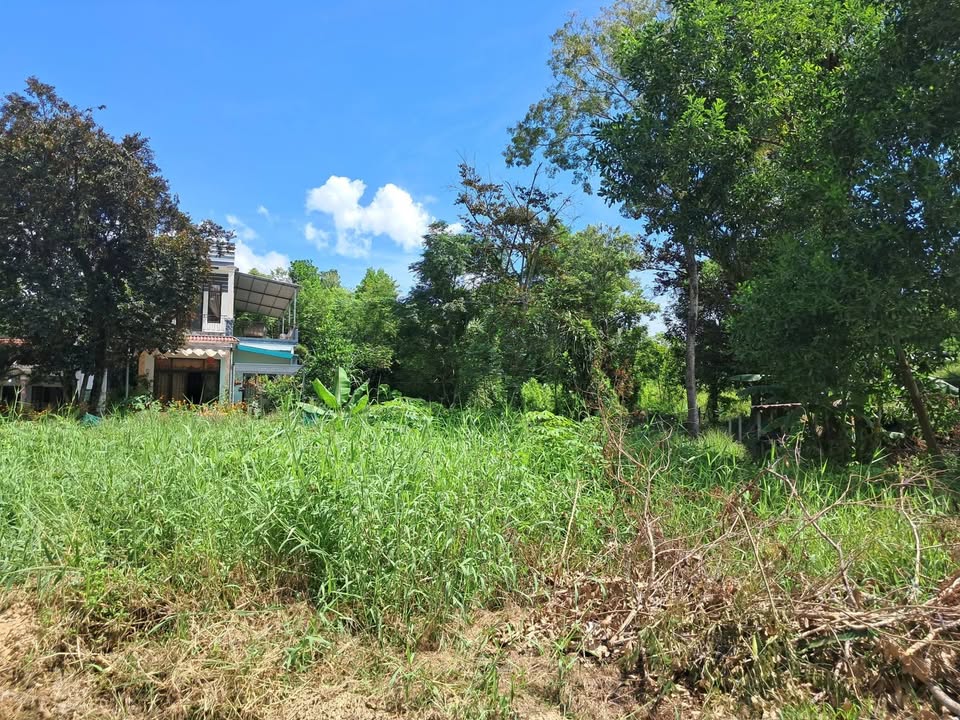 Đất nền Hòa Liên, Hòa Vang 140m² giá 1.4 tỷ - Ô tô vào tận đất!