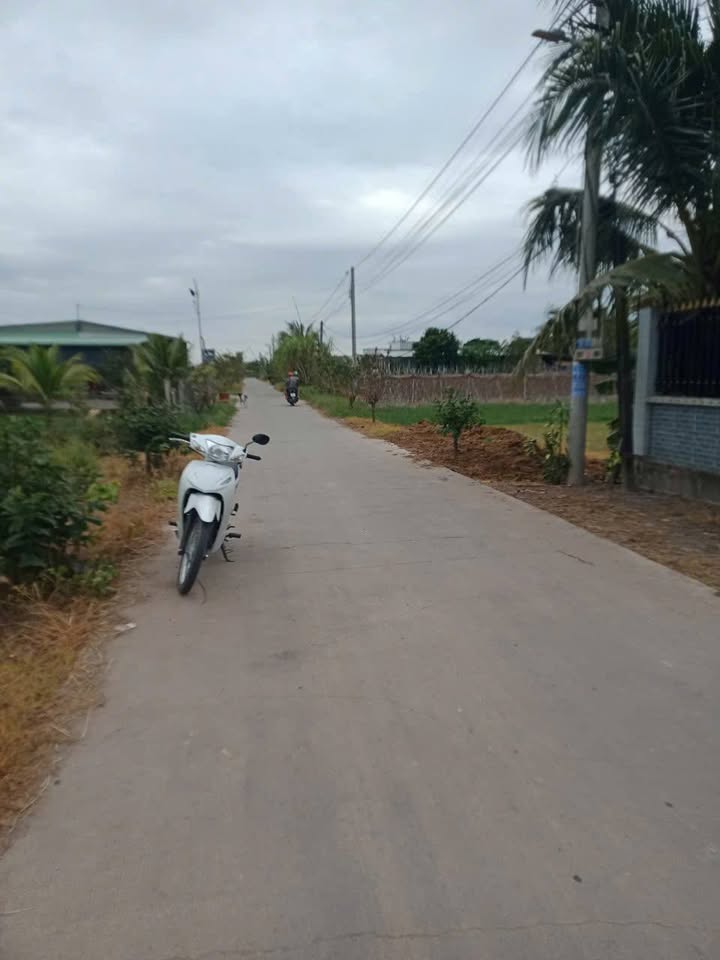 Đất nền 295m² xã Thạnh Đức, Gò Dầu, Tây Ninh - Giá chỉ 1.5 tỷ, sổ riêng chính chủ!