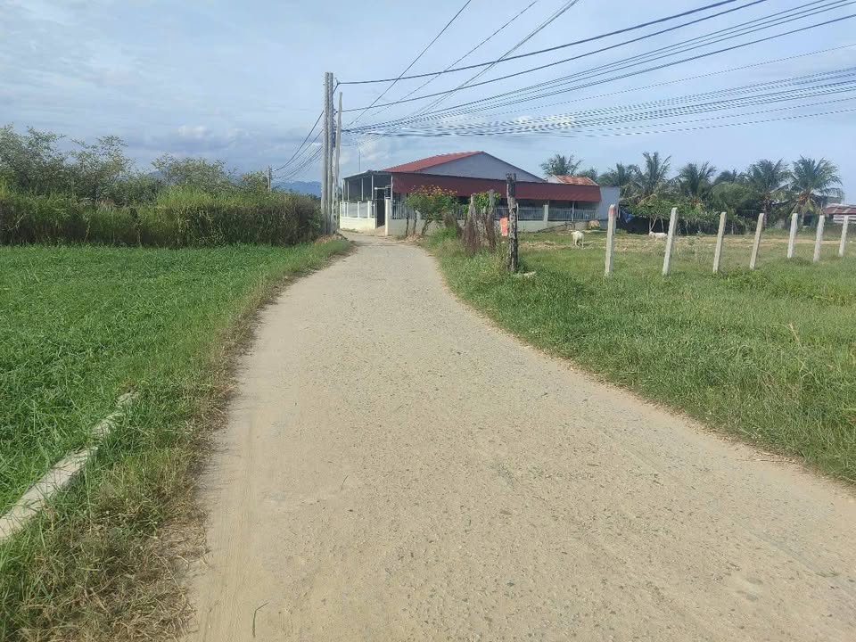 Đất nền 300m² Phường Văn Hải, 480 triệu - Cơ hội đầu tư lý tưởng!