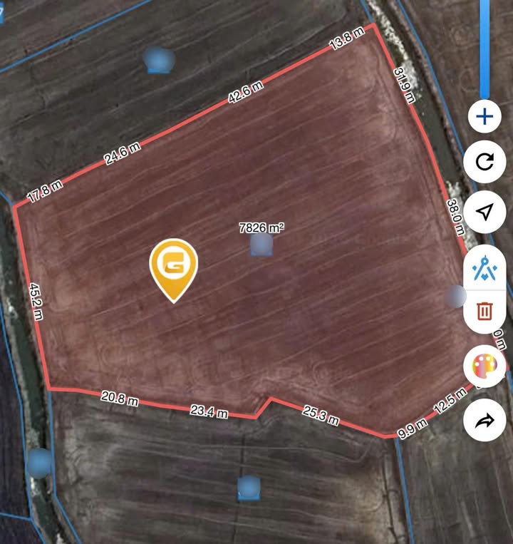 Đất ruộng lúa 8000m² tại xã Bình Thạnh, TP Hồng Ngự - Giá chỉ 1.08 tỷ VND!