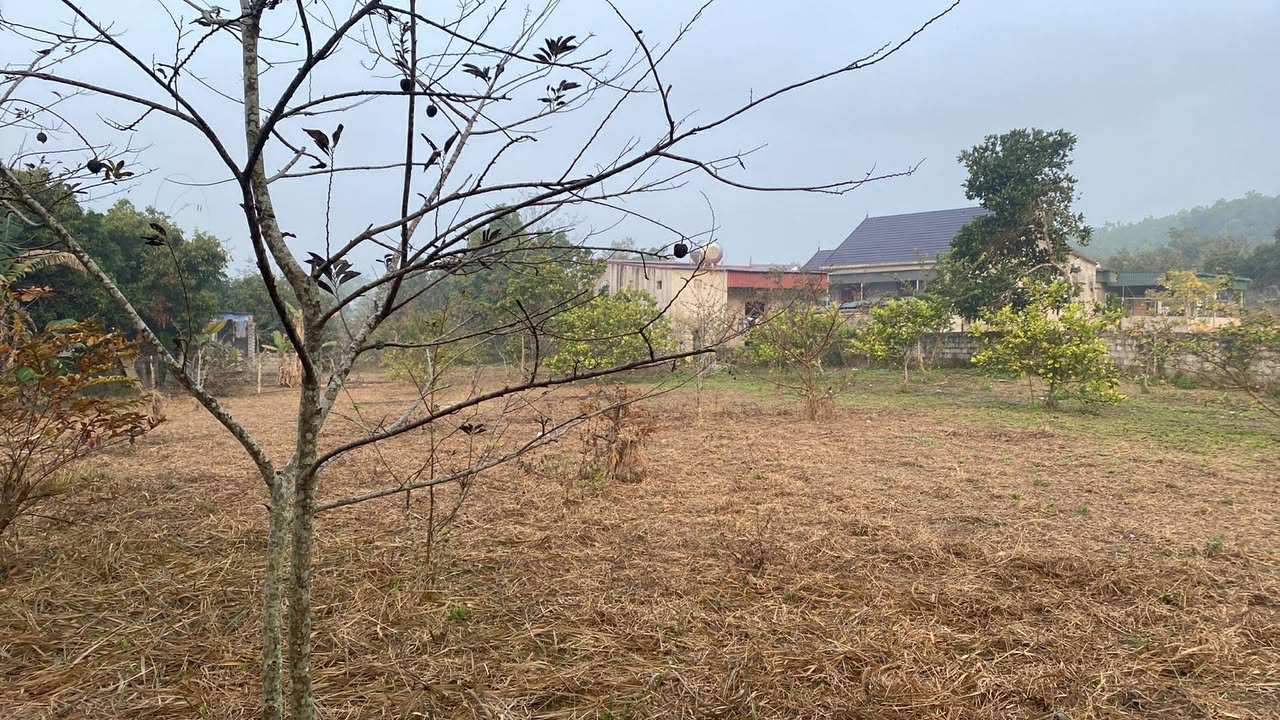 Đất nền xã Hải Long, Như Thanh 1700m² - Giá rẻ, vị trí đắc địa gần KCN!