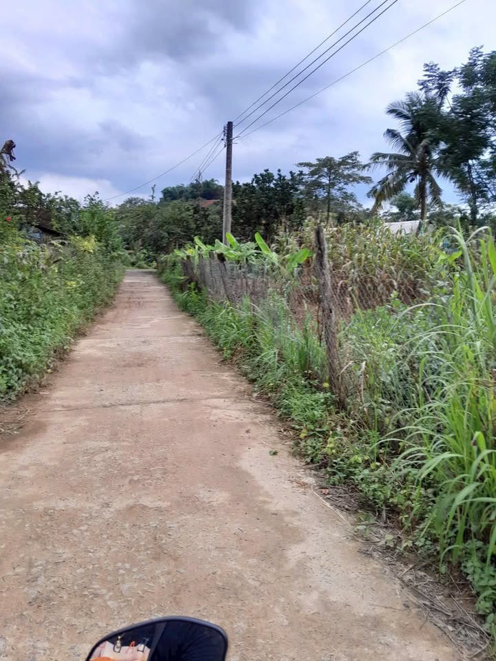 Đất thổ cư 6,5 sào tại Đạ Huoai, Lâm Đồng - Giá 1,35 tỷ, chính chủ!