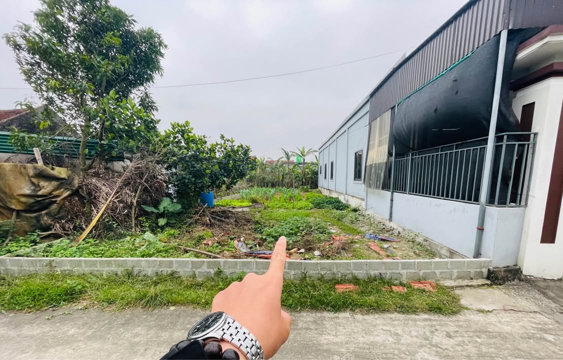 Đất nền ngõ QL1A, Nghi Lộc 162.6m² - Vị trí tiềm năng gần KCN WHA!