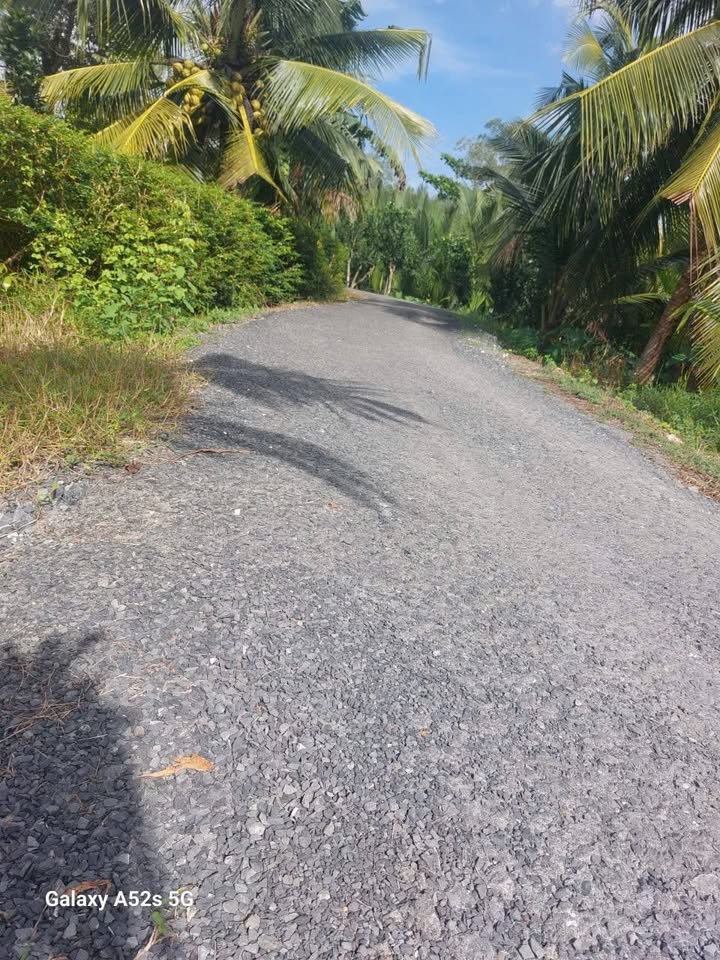 Đất thổ cư xã Bình Phước, Vĩnh Long 138,6m² giá chỉ 210 triệu - Cơ hội đầu tư tuyệt vời!