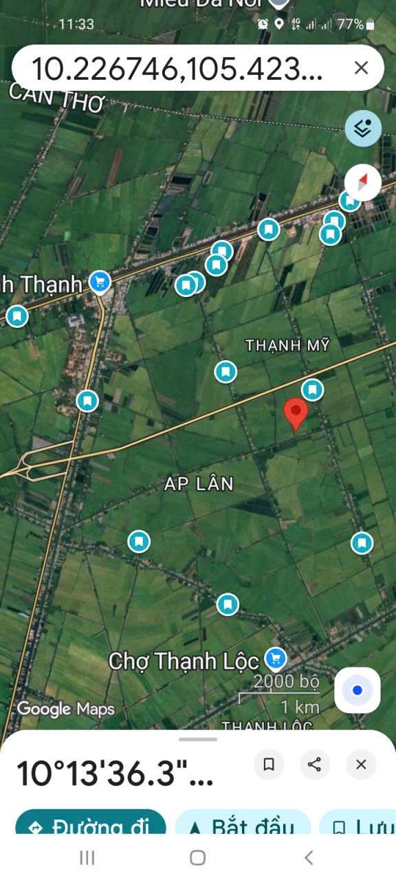 Đất nông nghiệp 1296m² Thạnh Mỹ, Cần Thơ - Giá chỉ 270 triệu!