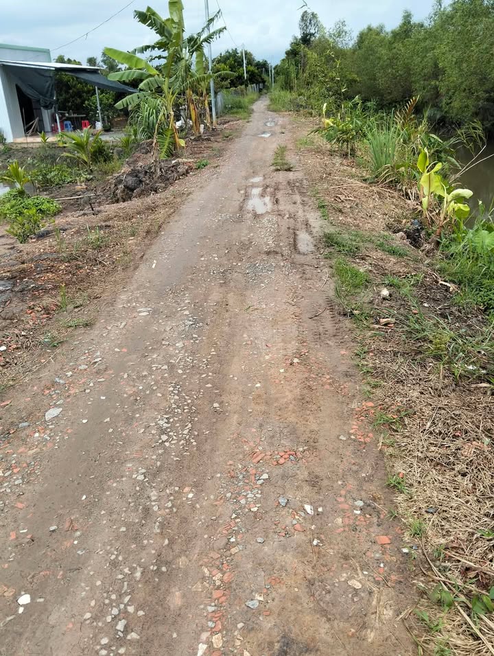 Đất Phú Long, Châu Thành, Đồng Tháp 180m² giá 270 triệu - Sổ hồng riêng, vị trí đẹp!