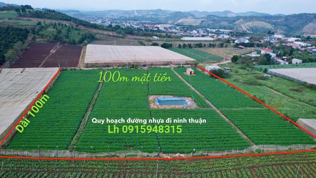 Đất nền Đường CNAI, Huyện Đức Trọng 10.000m² giá 20 tỷ - Đầu tư sinh lời nhanh chóng!