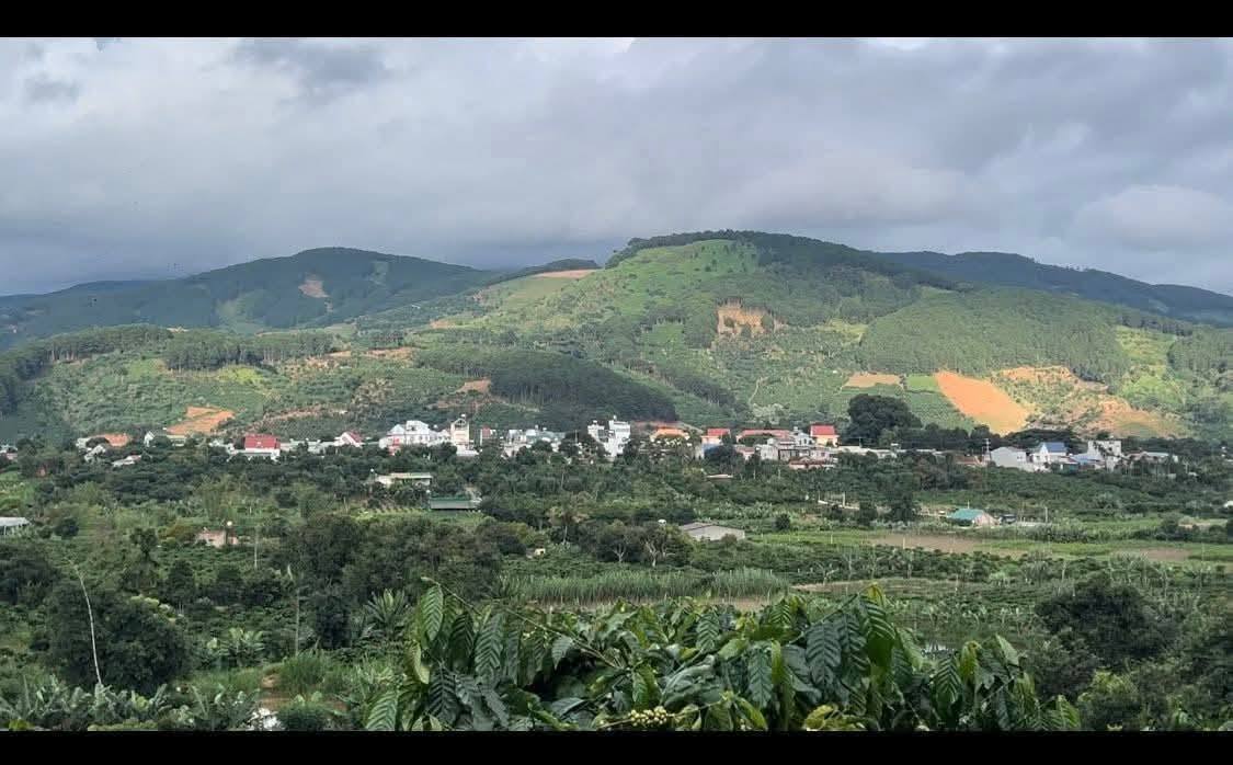 Đất nghỉ dưỡng Mê Linh, Lâm Hà 2068m² giá tốt - Cần bán gấp!