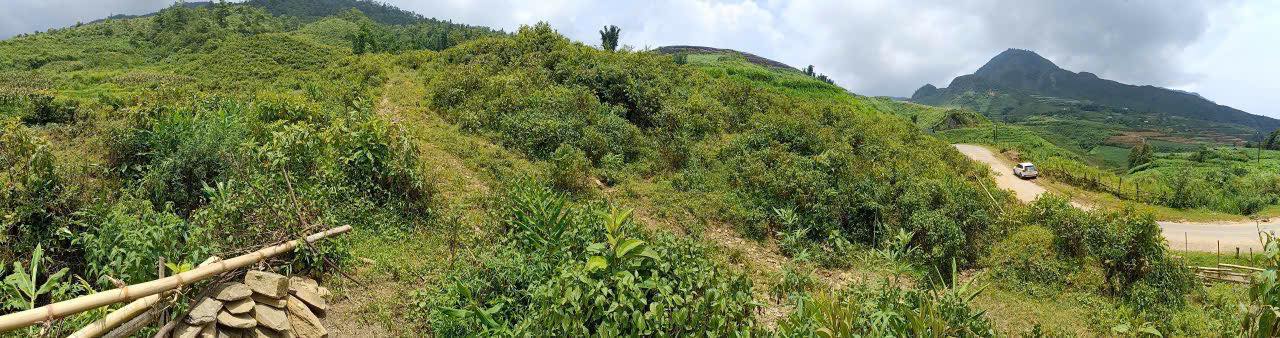 Đất nông nghiệp 1,4ha tại mặt đường tỉnh lộ 155 - Cơ hội đầu tư không thể bỏ lỡ!