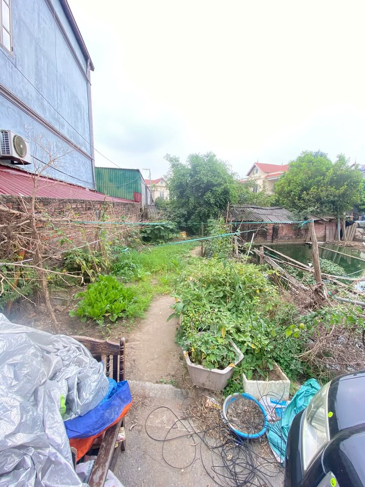 Đất nền Đa Tốn, Gia Lâm 46m² giá 3.x tỷ - Ô tô đỗ cửa, pháp lý rõ ràng!