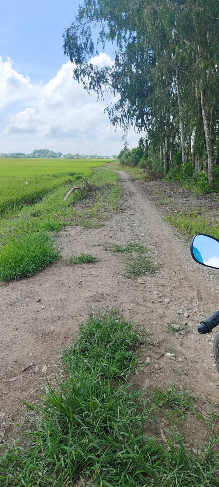 Đất nông nghiệp 45 công tại Thị Trấn Óc Eo, An Giang giá 13.5 tỷ - Cơ hội đầu tư hấp dẫn!