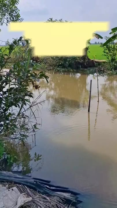 Đất nông nghiệp 8700m² tại Ấp Bình Thành, Thoại Sơn chỉ 1.087 tỷ - Cơ hội đầu tư tuyệt vời!