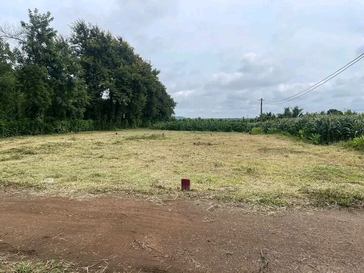 Đất nền 2 mặt tiền đường bê tông Thị trấn Phước An 170m² giá 499 triệu - Cơ hội đầu tư tuyệt vời!