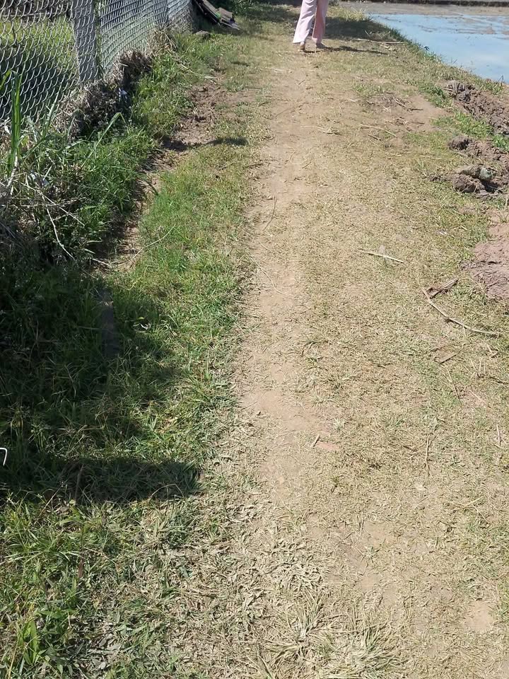 Đất nền Thị trấn Phước An 1800m² giá chỉ 900 triệu - Cơ hội đầu tư tuyệt vời!