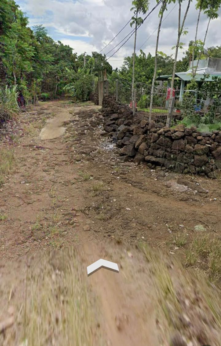 Đất Farm 720m² tại Phú Lộc, Tân Phú - Giá chỉ 620 triệu, sổ đỏ chính chủ!