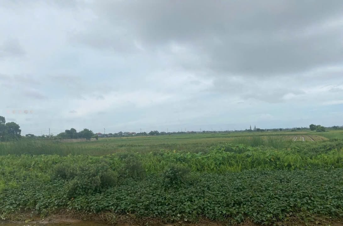 Đất thương mại dịch vụ 5000m² Quốc lộ 10 - Giá chỉ 1.8 tỷ - Cơ hội đầu tư hiếm có!