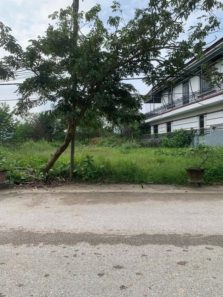 Đất nền Tu Vũ, Thanh Thủy, Phú Thọ 800m² - Đầu tư sinh lời