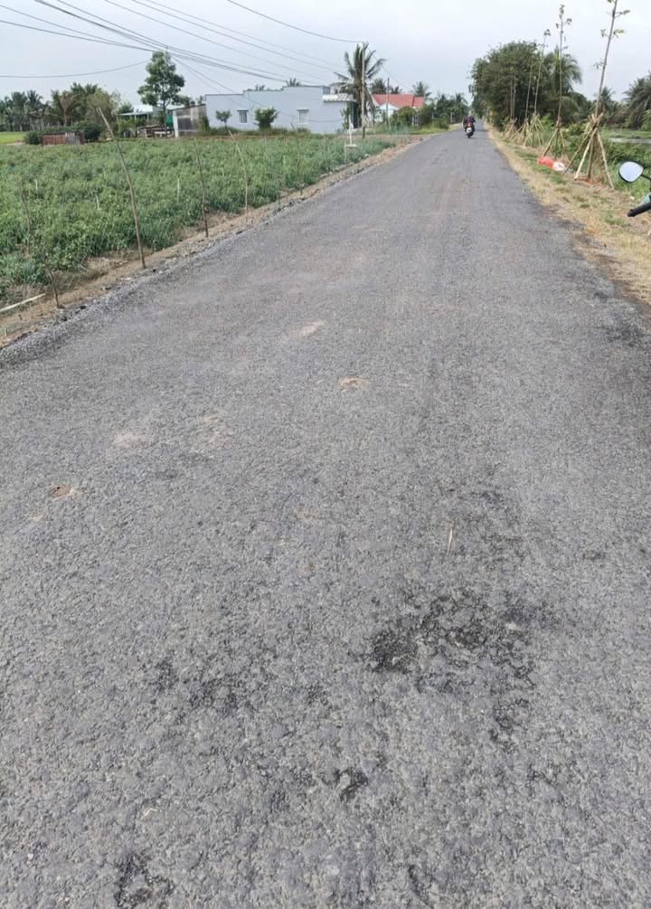 Đất nền Tân Điền Gò Công Đông 50471m² giá 1.2 tỷ - Sổ hồng chính chủ!