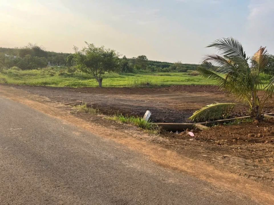 Đất thổ cư 204m² tại Đá Bạc, Châu Đức - Giá chỉ 690 triệu, sổ hồng sẵn!