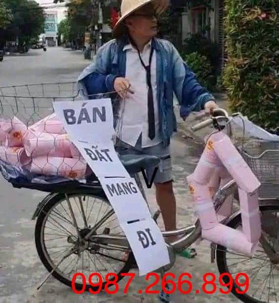 Đất ở đô thị 120m² Triệu Việt Vương giá chỉ 1.2 tỷ - Hướng Đông Nam, cơ hội đầu tư tuyệt vời!