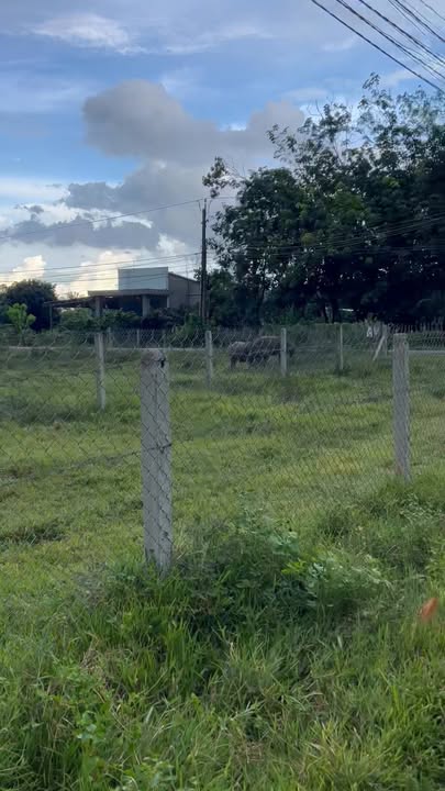 Đất nền Phước Tây, Gò Dầu 105m² giá 439 triệu - Sổ đỏ chính chủ, công chứng ngay!