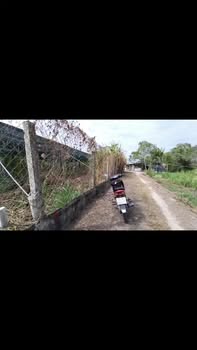 Đất thổ cư KP Lộc Trát, Phường Gia Lộc, 1100m² - Giá chỉ 1.6 tỷ, cơ hội đầu tư tuyệt vời!