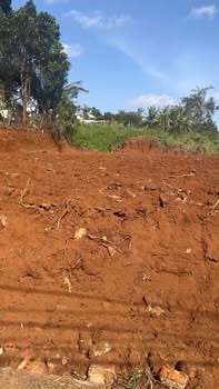 Đất nền hẻm cấp 1 Mạc Đĩnh Chi, P. An Lạc, 504m² giá 2.688 tỷ - Tiềm năng đầu tư hấp dẫn!