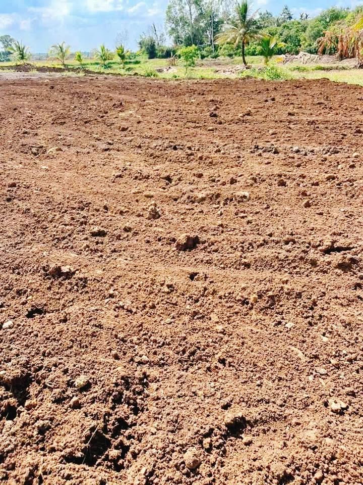 Đất nông nghiệp tại Cư Kuin 10,8ha giá 650 triệu - Vị trí đẹp, view suối thoáng mát!