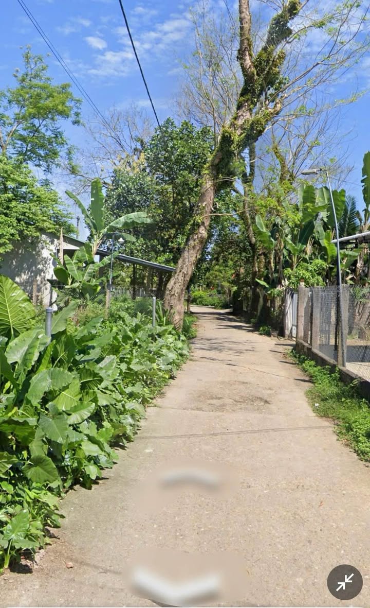 Mảnh đất vườn 500m² tại Phường Hòa Hương - 1.8 tỷ, hướng Nam, ô tô vào tận nơi!