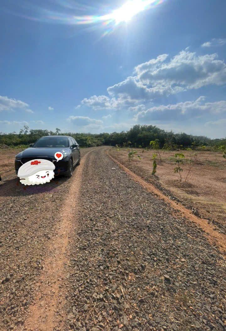 Đất sào Đồng Tiến, Đồng Phú 1030m² giá 430 triệu - Cơ hội đầu tư hấp dẫn!