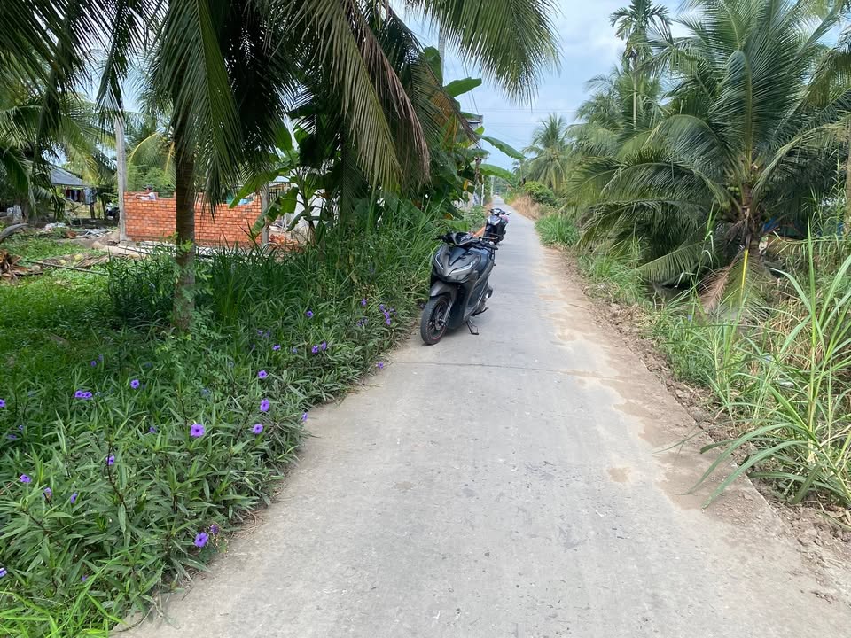 Đất nền 288m² tại Xã Phong Thạnh, giá 300 triệu - Sổ đỏ chính chủ, thoáng mát!