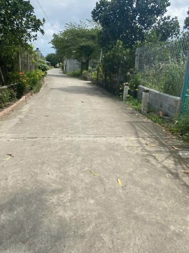 Đất thổ cư 280m² tại phường Tân Phong, Biên Hòa chỉ 2.5 tỷ - Sổ đỏ chính chủ!