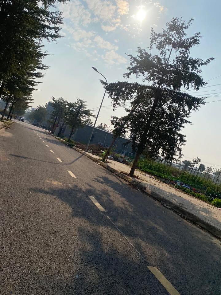 Biệt thự Rùa Vàng Thị trấn Vôi 165m² giá 3 tỷ - Cơ hội đầu tư hấp dẫn!