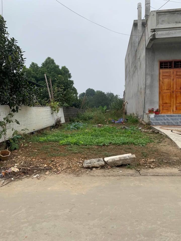 Đất thổ cư khu 19 Hoàng Xá, Thanh Thuỷ, 116m² - Đầu tư sinh lời