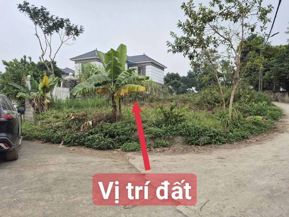 Đất nền Thị trấn Hoa Sơn 413m² giá thỏa thuận - Lô góc 2 mặt tiền hiếm có!