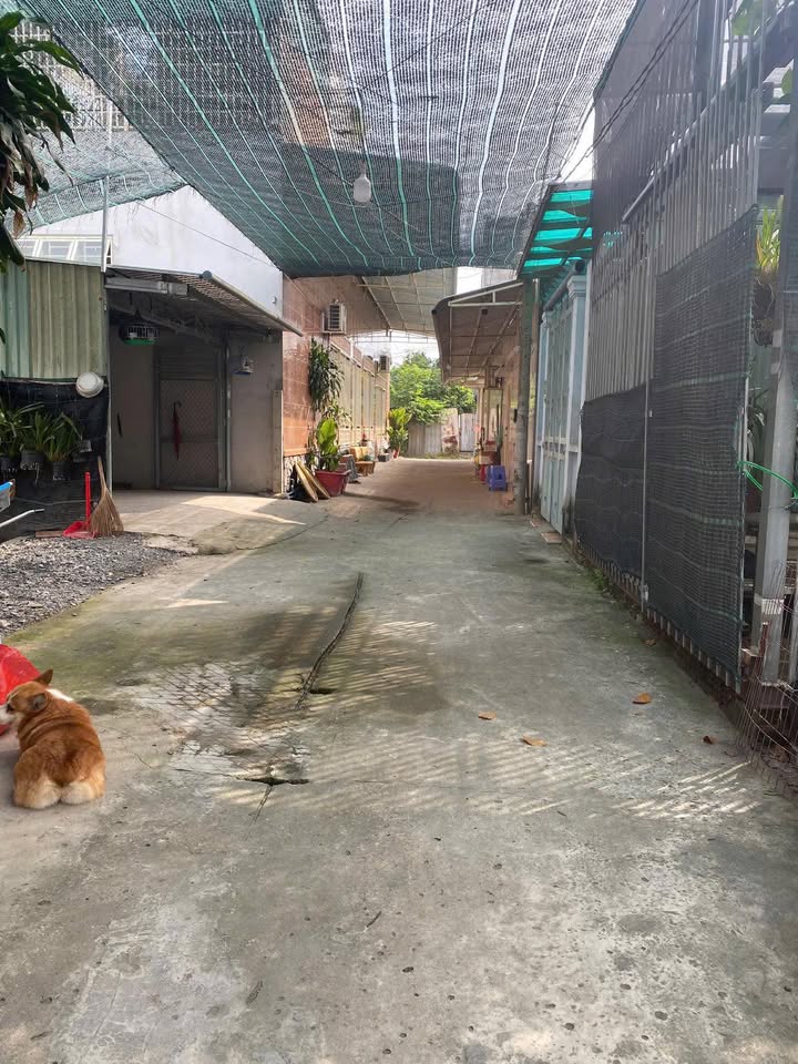 Đất nền Ấp 3, Xã Tân Bửu, Huyện Bến Lức 100m² giá 1.6 tỷ - Cơ hội đầu tư hấp dẫn!