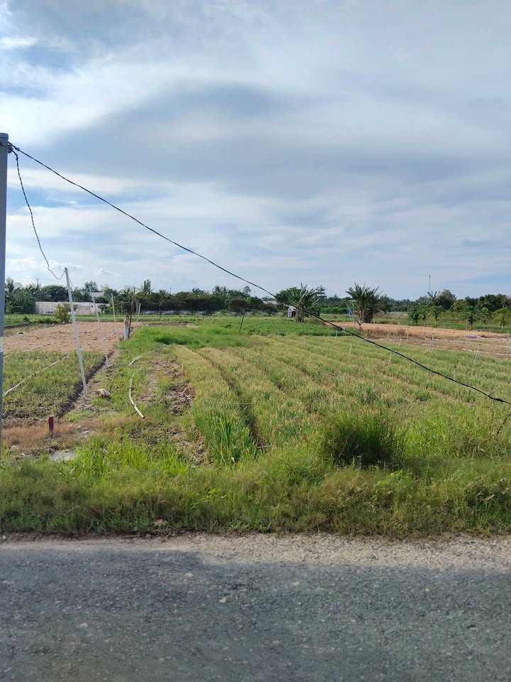 Đất thổ cư 564m² đường nhựa Cộ Hai Thới, Kiến An - Giá 850 triệu có thương lượng!