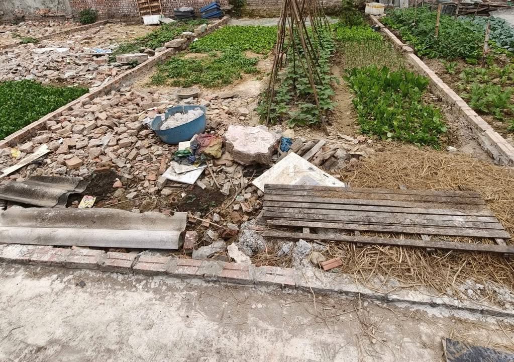 Đất nền tại Hương Mạc, Từ Sơn 50m² giá 1 tỷ - Cơ hội đầu tư hấp dẫn!