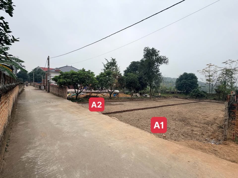 Đất nền Tam Nông Phú Thọ 116m² giá chỉ từ 200 triệu - Cơ hội đầu tư tốt!