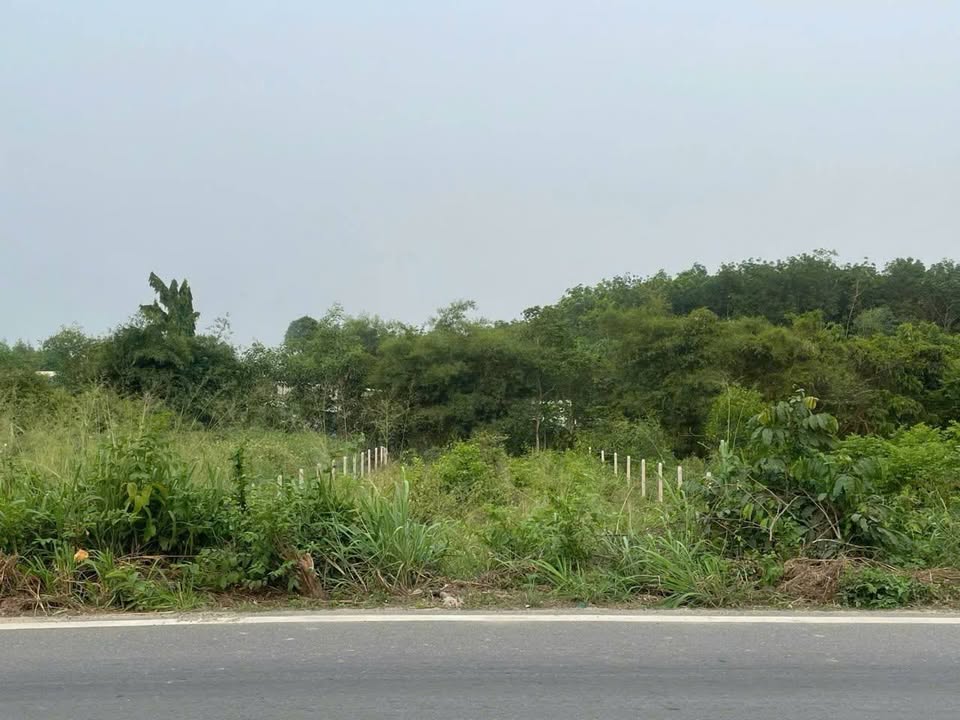 Đất nền An Nhơn Tây, Củ Chi 500m² giá 3.5 tỷ - Cơ hội đầu tư hấp dẫn!