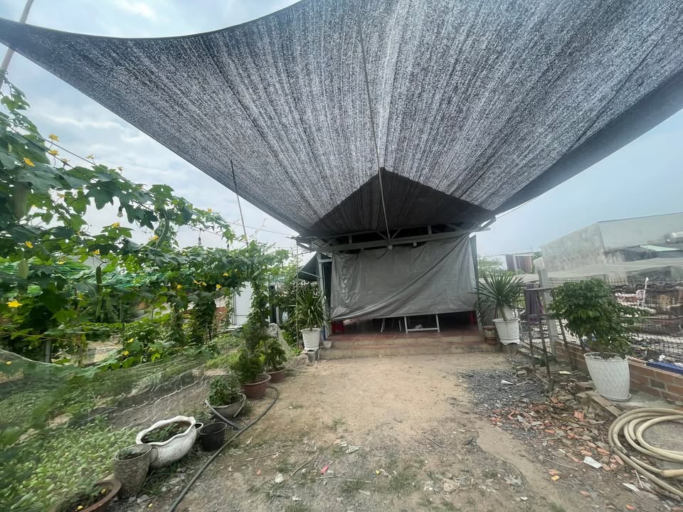 Đất vườn 200m² Hiệp Thành, Quận 12 - Giá chỉ 3.5 tỷ, đường xe hơi thuận tiện!