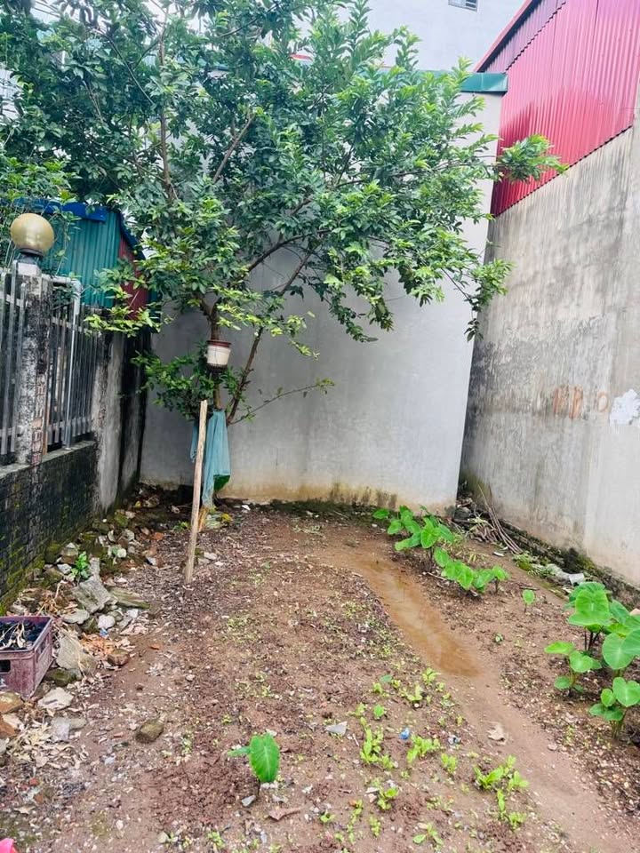 Đất Tình Quang Giang Biên 48m² giá 4 tỷ - Ô tô vào tận nơi!