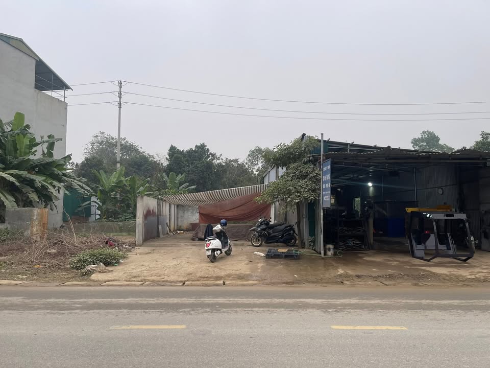 Đất nền mặt tiền Tỉnh lộ 315B, Thị Xã Phú Thọ, 126m² - Đầu tư sinh lời ngay!