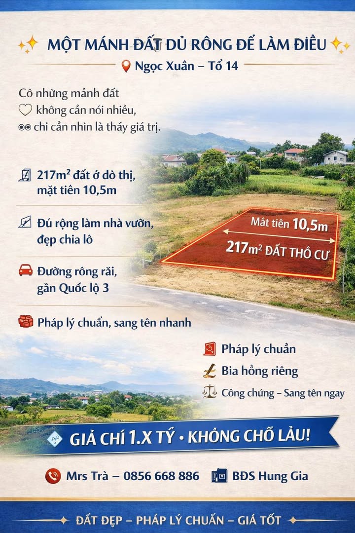 Đất ở đô thị Ngọc Xuân 217m² giá chỉ 1.x tỷ - Cơ hội đầu tư sinh lời!