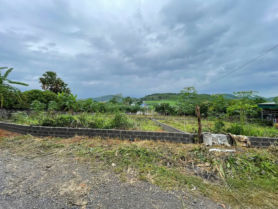 Đất nền chính chủ tại xóm Đon, Mỹ Hòa 222m² chỉ từ 200 triệu - Cơ hội đầu tư tốt!