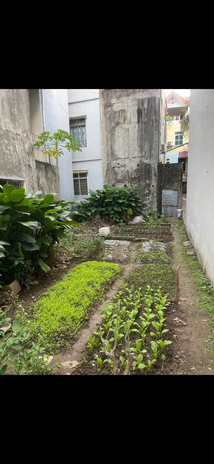 Đất thổ cư Phúc La, Hà Đông 64m² - Mặt tiền 5,6m, Giá thỏa thuận!