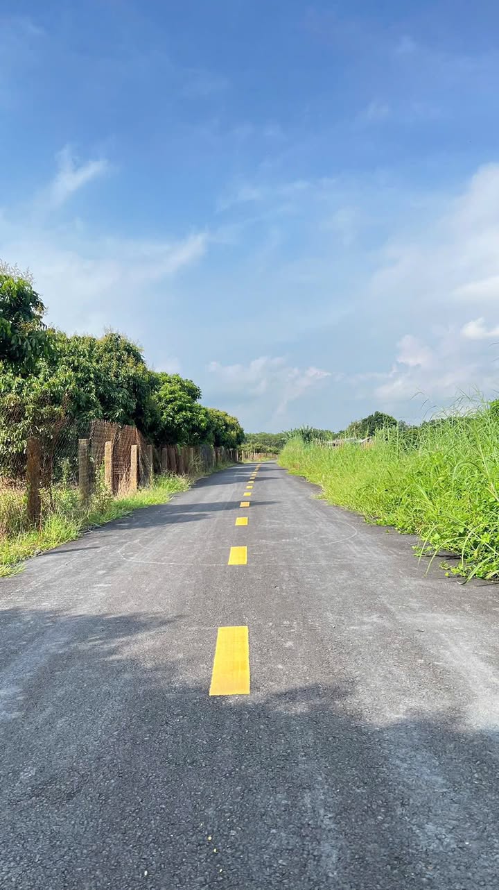 Đất nền Thuận Phát Home, Bình Chánh 1514m² giá chỉ 2.x tỷ - Sổ hồng riêng, vị trí đắc địa!